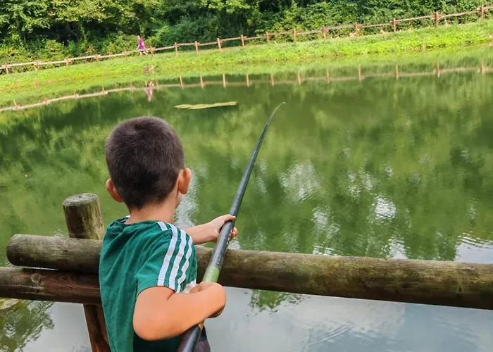 Spacieux 8 Pers Avec Terrasse - Api-1-52-1298 *